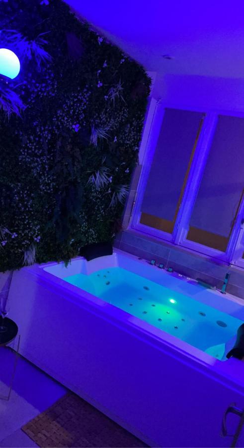 L'Extasia Appartement,Spa Jacuzzi 그르노블 외부 사진